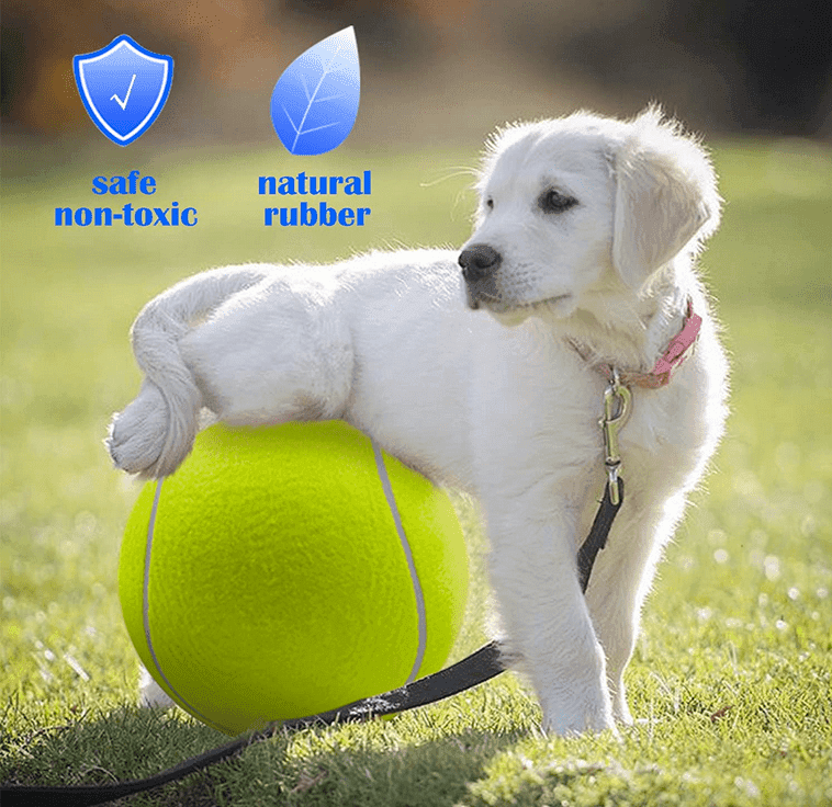 Giant Tennis Padel Ball