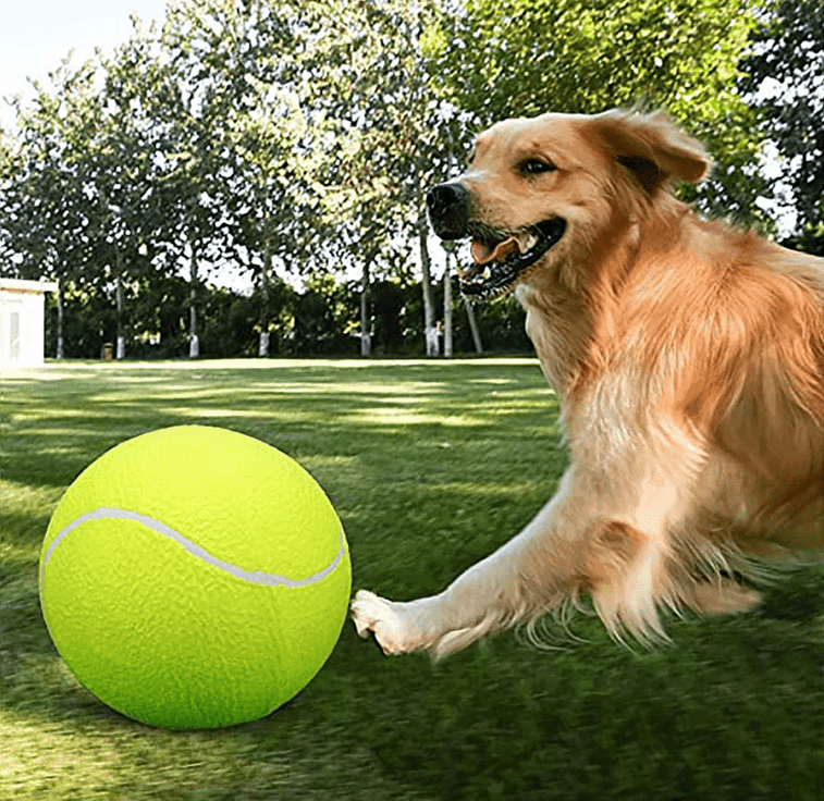 Giant Tennis Padel Ball